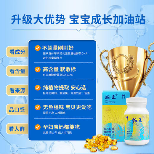 脑王大脑营养青少年孩子记忆力无腥味食用方便120粒 商品图1