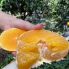 纯甜红美人果冻橙，口感最佳期多送1斤【顺丰发货，爱媛28号，无籽无渣，爆汁无酸，甜度一流，超薄果皮，出汁率满满】 商品缩略图6