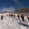 【云端上的有机雪山山药】冰激凌般软糯香软 连续年通过8年有机认证 生长在雅安宝兴2300米海拔的夹金山上 商品缩略图9