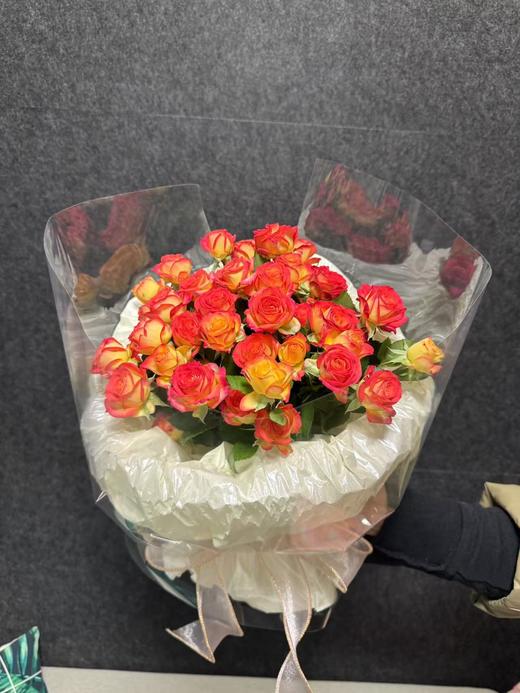 「梦游仙境」爱丽丝多头蔷薇 商品图3