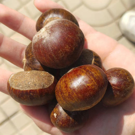正宗迁西  燕山老树板栗 ·颗颗饱满，香、甜、糯，烤着吃、炖汤吃，炒菜吃都绝配哦！ 商品图5