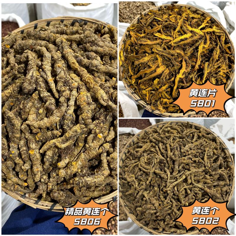 黄连 黄连片 精选出口级精品单支黄连 无泥净货