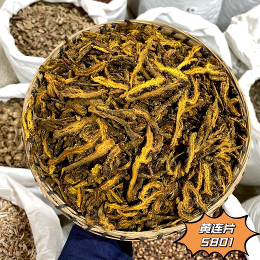 黄连 黄连片 精选出口级精品单支黄连 无泥净货 商品图2