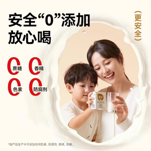 奶中贵族·百菲酪水牛纯奶 优质乳蛋白≥3.8g 奶味香醇营养丰富 商品图3