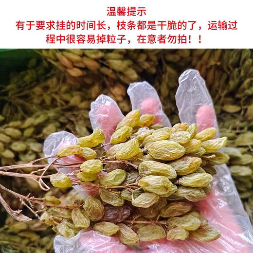 一串绿香妃新疆特级带枝干更健康 商品图4