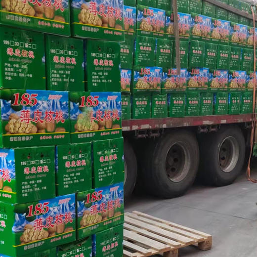 大量批发供应手捏即开原味原色 新疆特产薄皮185纸皮生核桃20斤 商品图3