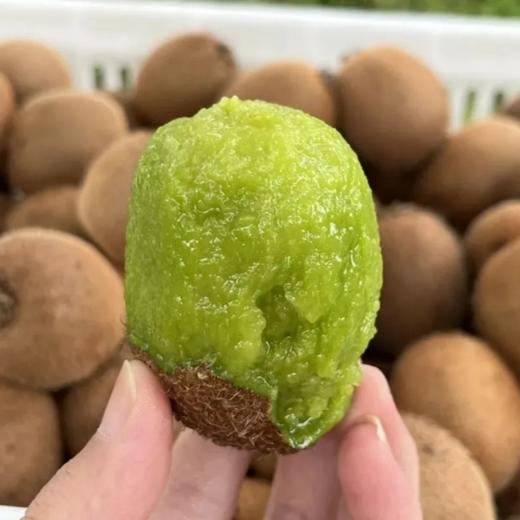 瑞玉猕猴桃  【纯甜的晚熟猕猴桃】 商品图1