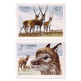 《藏羚羊》特种邮票 2003-12