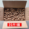大量批发供应手捏即开原味原色 新疆特产薄皮185纸皮生核桃20斤 商品缩略图1
