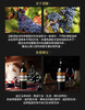 【LEESON雷盛266干红葡萄酒】〔单瓶〕-价格参考为京东雷盛云仓专营店正品保真价 商品缩略图2