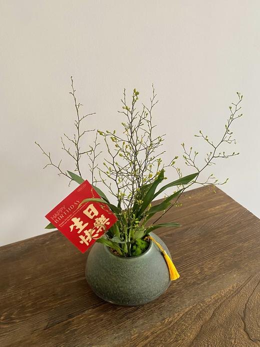 文心兰/ZWT228 商品图1