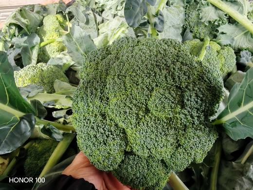 土豆、茄瓜、胡萝卜、甜菜根等、酵素蔬菜组合包 | 自然农耕、六不用种植，时令蔬菜包，各类绿叶蔬菜，小黄姜、萝卜等|| 健源 商品图4