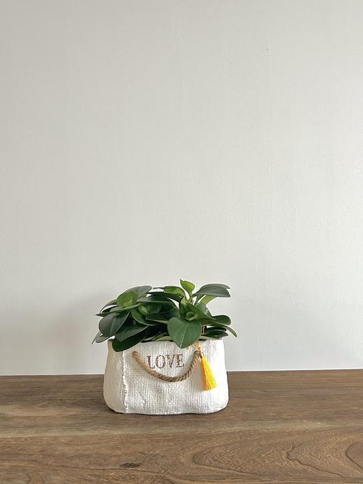 碧玉/KC68 商品图0