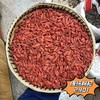 枸杞  大颗粒 干度好不结块 商品缩略图3