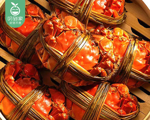 【叼蟹】江苏大闸蟹-母蟹（6只/箱 单只150g±10g） 商品图2