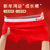 【4条装】2026马年新年红男童女童纯棉A类内裤本命年大红新年四角裤适合40-105斤 商品缩略图4