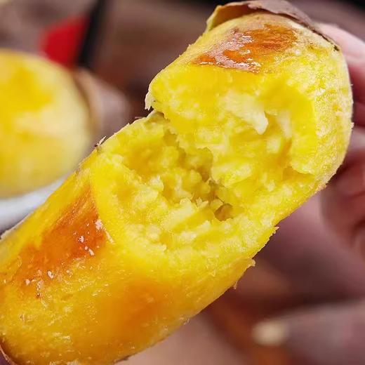 夏津县 榴莲蜜薯（净重5斤） 果瓤橙黄色 蜜甜流油 商品图1