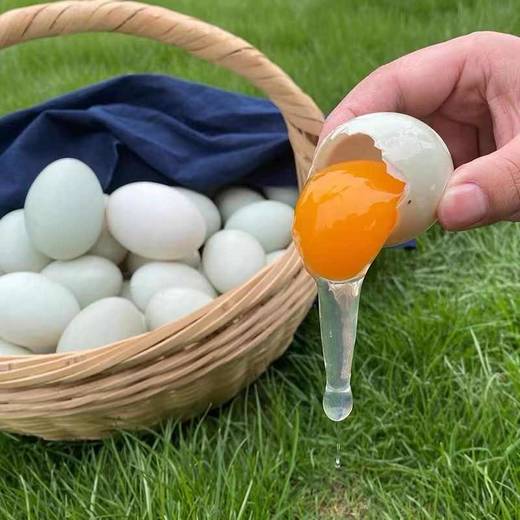 土鸭蛋3斤装 商品图0