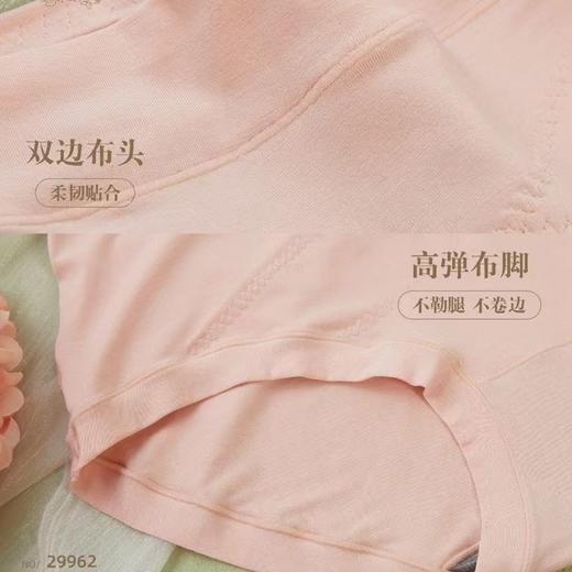 HYY-29962  【1条】60S大码柔软亲肤舒适兰精莫代尔环形立体服帖女士内裤 商品图3