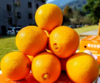 【包邮】赣南脐橙 内网火爆数年的老陈家橙子 香甜爽口爆汁 甜度13.5-16 石灰浆防虫防晒增香 商品缩略图1