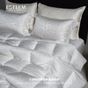 王族臻品桑蚕丝雁鹅绒被系列 商品缩略图3