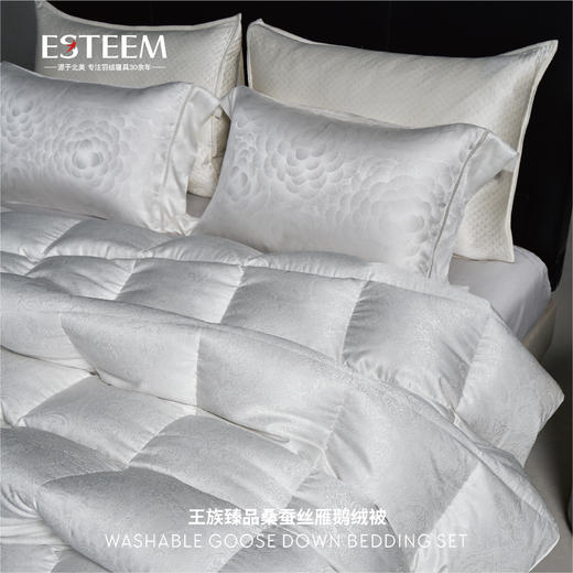 王族臻品桑蚕丝雁鹅绒被系列 商品图3