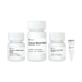 VAHTS mRNA Capture Beads (Ultrapure)