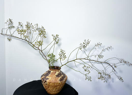 【AB级绿色山归来】1扎约3-5支/份 长约100-120cm（单独发货） 商品图10