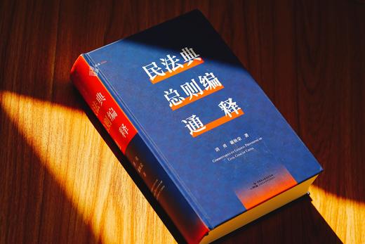 《民法典总则编通释》（逐条细致注解民法典总则编，穷尽条文中“最小单元及其组合”的含义与法律适用）丨非签名本 商品图0