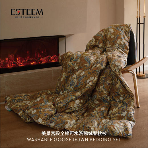 美泉宫殿全棉可水洗鹅绒春秋被 商品图1