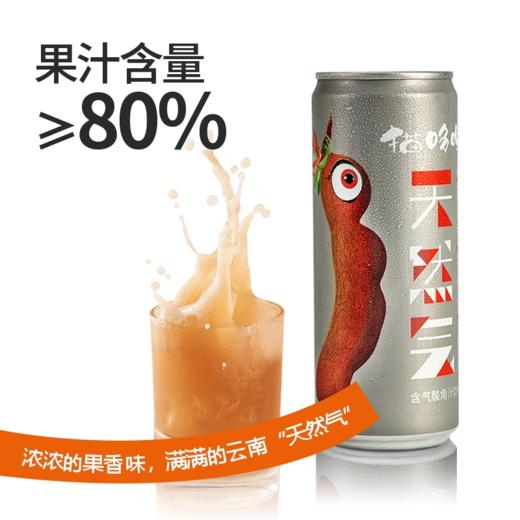 猫哆哩天然气 【清凉】特色水果果汁多口味绿色食品汽水果汁饮料 商品图1