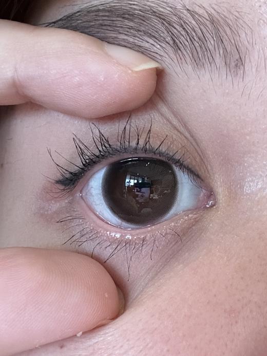 bennycat半年抛美瞳 豆乳咖 14.2mm 商品图0