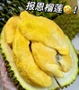 【液氮保鲜】马来西亚猫山王冷冻原粒带壳榴莲D197|进口水果 商品缩略图0