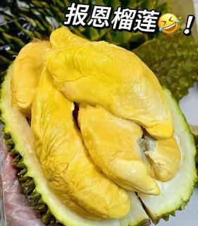 【液氮保鲜】马来西亚猫山王冷冻原粒带壳榴莲D197|进口水果