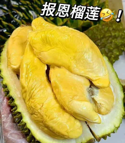 【液氮保鲜】马来西亚猫山王冷冻原粒带壳榴莲D197|进口水果 商品图0