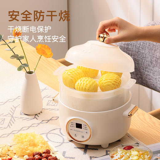 龙的电炖锅电炖盅LD-DG1520 商品图4