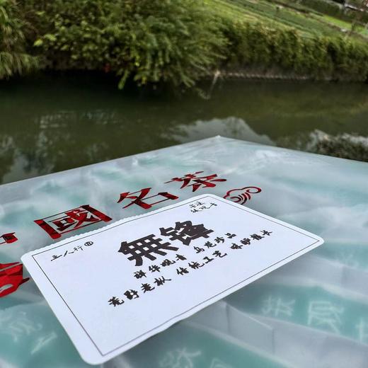 （非遗）24秋  无锋铁观音茶 荒野老枞 浓酽醇和（树龄超60年）250克起 商品图2