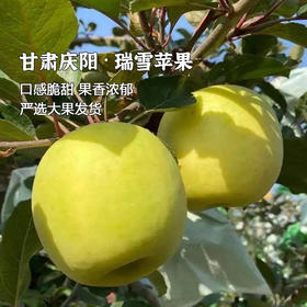 【农残检测0残留】产地直发 | 正宗甘肃庆阳瑞雪苹果 2025年新果 青苹果 一级果