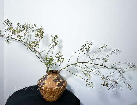 【AB级绿色山归来】1扎约3-5支/份 长约100-120cm（单独发货） 商品图5