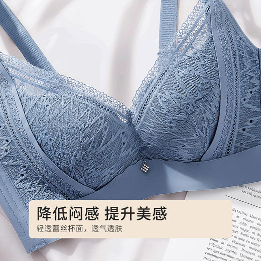 都市丽人内衣聚拢升杯A:加厚B:中厚C:薄蕾丝四排扣树脂胶圈3/4杯文胸LB11Y1 商品图5