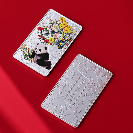 熊猫银条（套装）10g*3/20g*3 商品图5