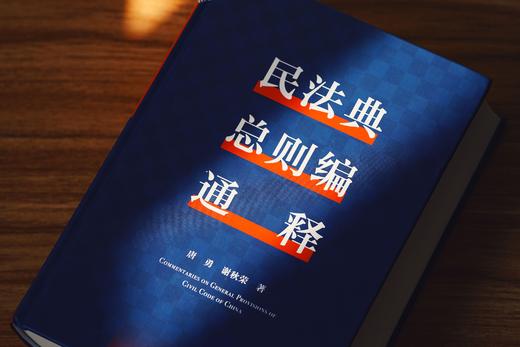 《民法典总则编通释》（逐条细致注解民法典总则编，穷尽条文中“最小单元及其组合”的含义与法律适用）丨非签名本 商品图10