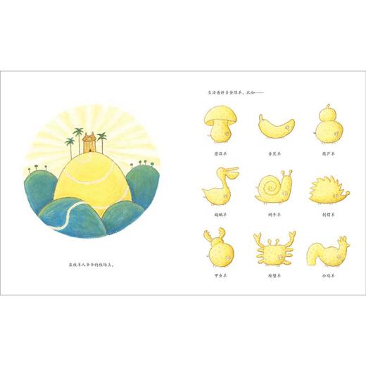 魔法象·  帮爷爷找回丢失的羊 商品图3