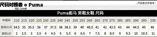 179.9元 彪马休闲运动鞋（线上线下同时售卖 不保证有货 无原鞋盒 介意勿拍）486955-LN 商品图1