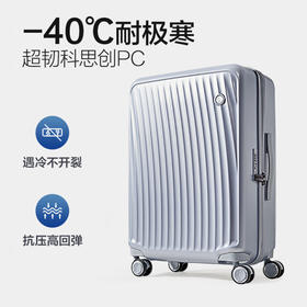 爱华仕OCX6620拉杆箱24寸银色