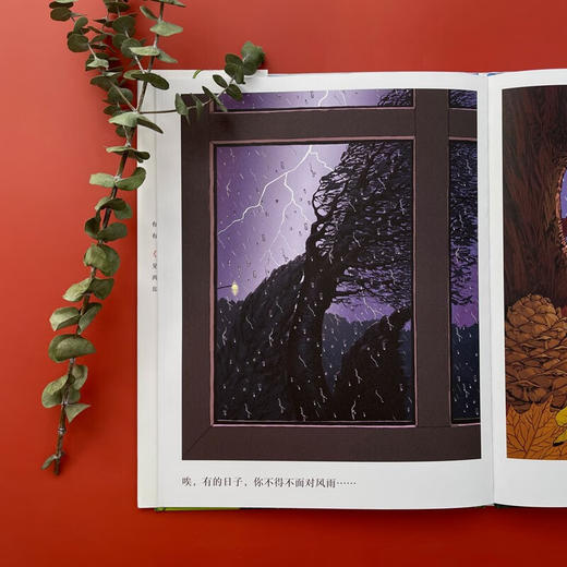 有你的日子 双视角诗画精装绘本  敬平凡日子的欢欣、失落和感动  浪花朵朵童书 商品图5