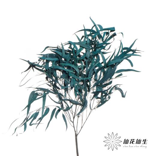 永生花材 | 小米果叶蓝色 商品图1