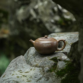 龙德堂陶艺 汤宣武柴烧作品《禅悟》150cc 原矿黄金段 (库存请咨询客服)