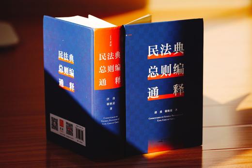《民法典总则编通释》（逐条细致注解民法典总则编，穷尽条文中“最小单元及其组合”的含义与法律适用）丨非签名本 商品图13