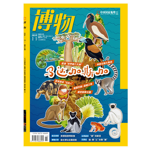 博物杂志预售 2024年11月刊  马达加斯加 精美大拉页 博物大学 青少年科普杂志 商品图1